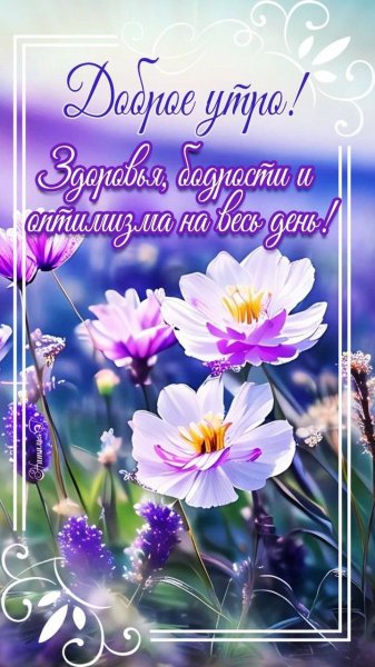 Доброе утро