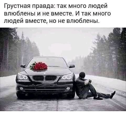 FB IMG 16086604244849335