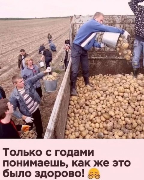 60b807305e43a37cb8c0d10f64a21693