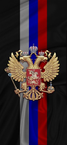 Двуглавый Орел триколор Россия