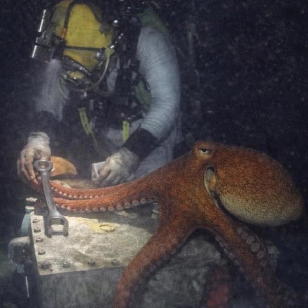 YNAvCITfsXTcEDI9PsZK3AW0LMM7CIAXJJAUq8AdBjaUyC4fHbKeaM9CnRVq