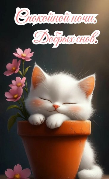 D60d2f46f878be2248c551ddc1629aea