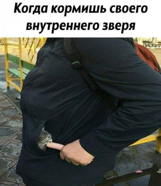 p.1200.1200.0