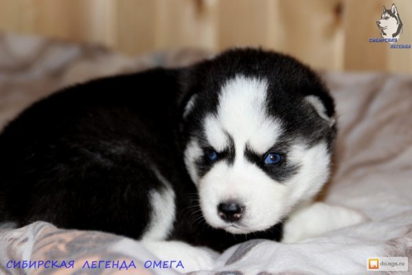 e506c1fa79245a38a90d6f45035922ce 1495703807 1000 666