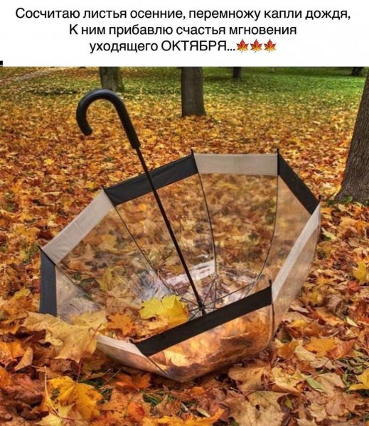 marinaalekminskaya 20201026 7