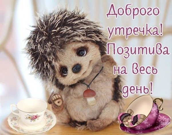 d50bd5fe054326222324e40c45e0f