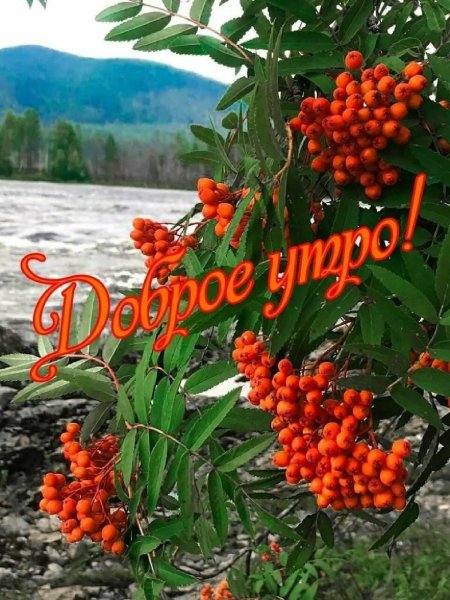 IMG-20211107-WA0000