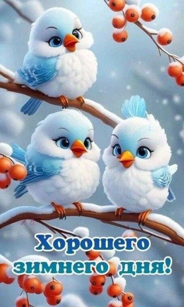 IMG 20260206 040938 259