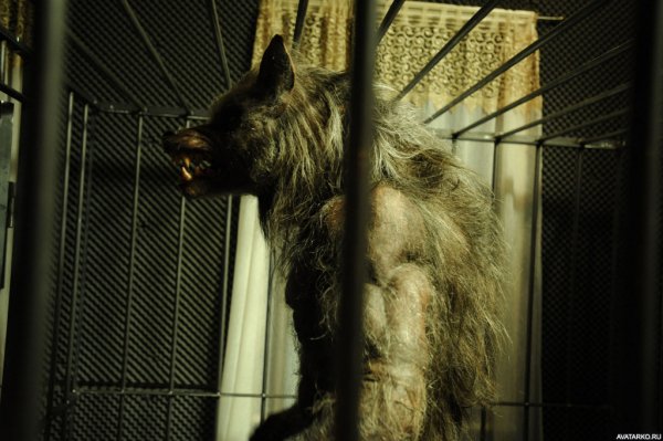 Fantastika oboroten 16741