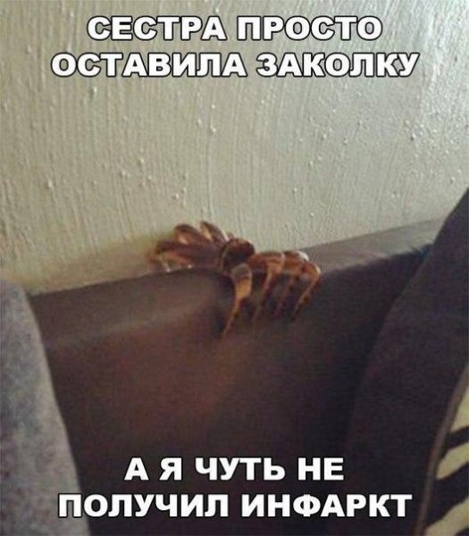 Saved Images GlaqQQvX3eo