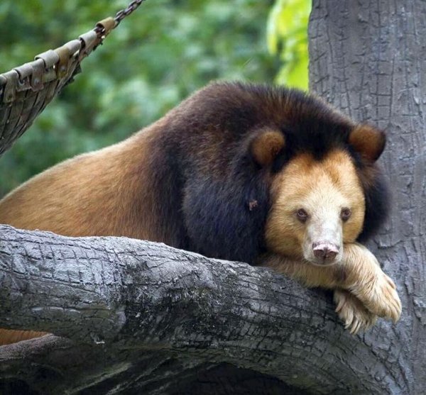 9c42670d2e9156a1b9846e50b1b5e924