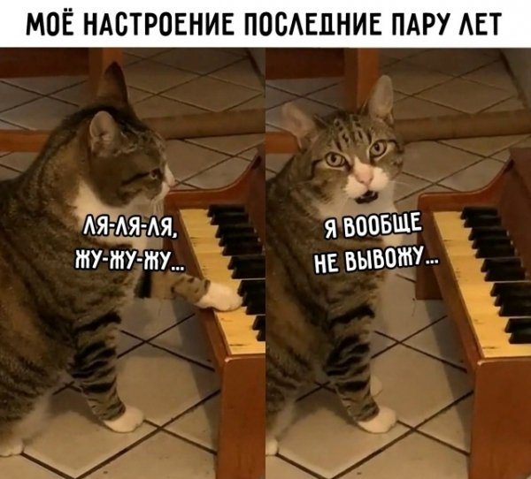 КотЭ)