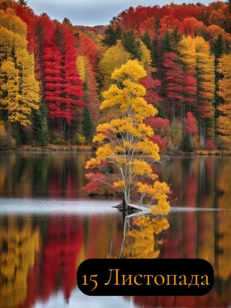 15 Листопада