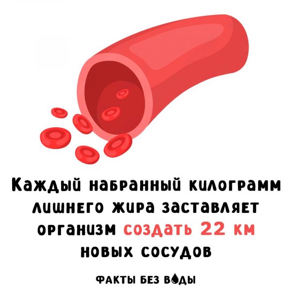 IMG 20250503 093725 082