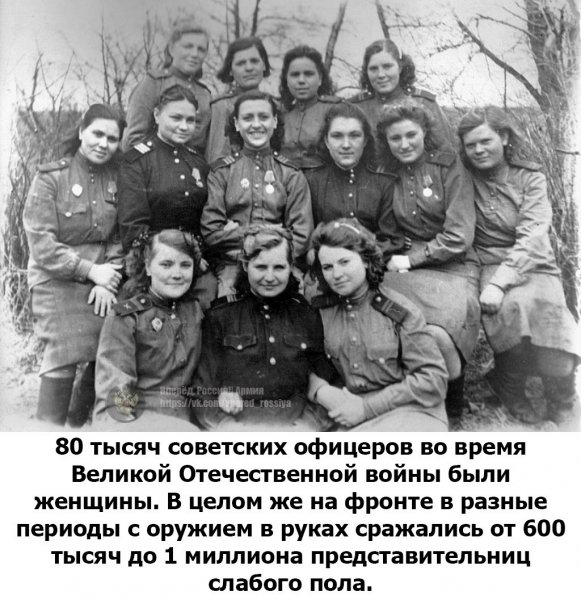 5dd9 i0JNuo