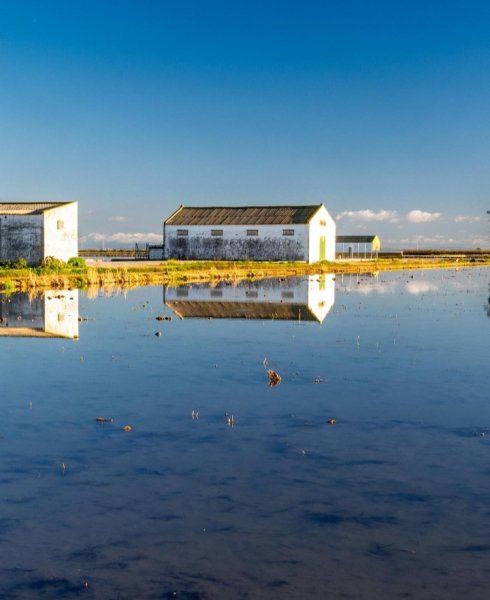 Screenshot 20260401-121619 One UI Home