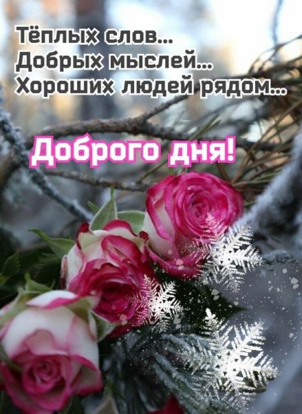 Всем вам!