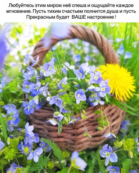 marinaalekminskaya 20200526 31