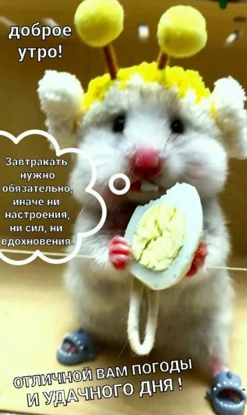 IMG 20260225 082632 129