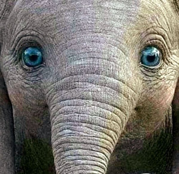 8ff210b05a6f49d17dbedebdc000d5c0