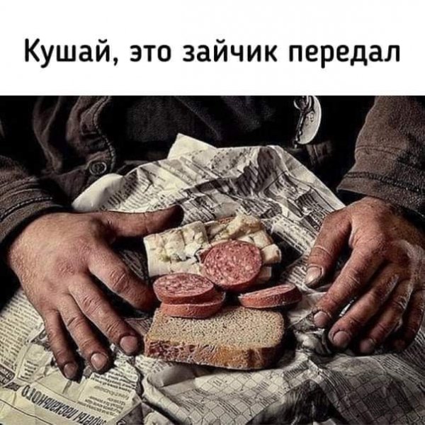 FB IMG 1643048588469