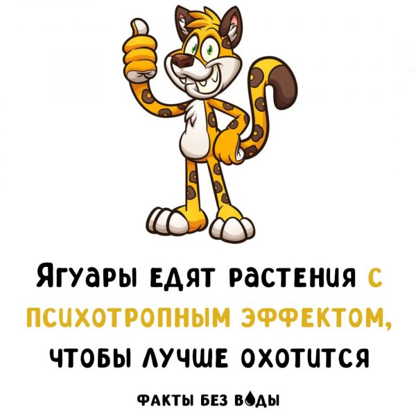 IMG 20251029 123231 841