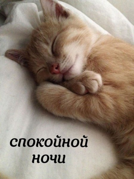 77f04cbf4e47f2ffaa791f4fd5d89cd1