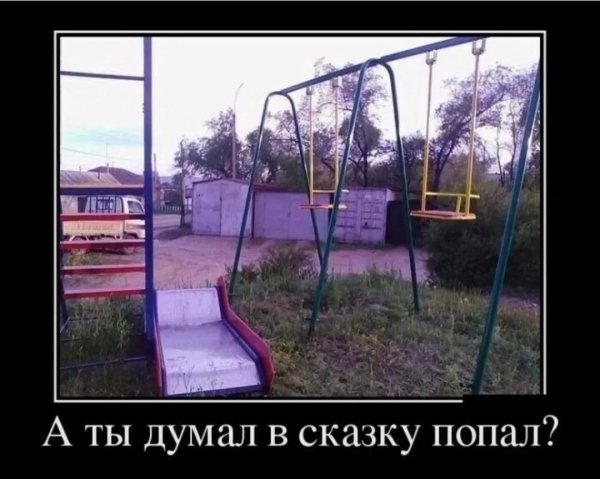 picture_408272403