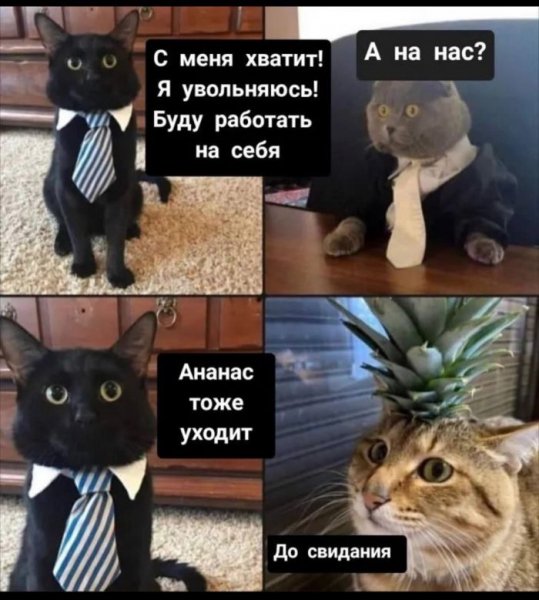 КотЭ)