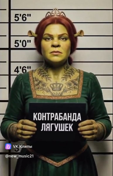 Screenshot 20260309-212353 Gallery