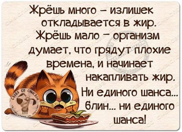 Ни одного шанса