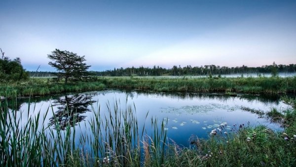 th-8976071470-800x450