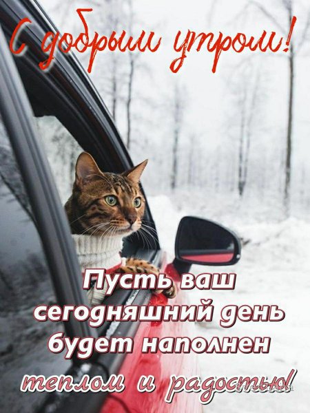 Изображение viber 2023-12-18 20-19-18-090