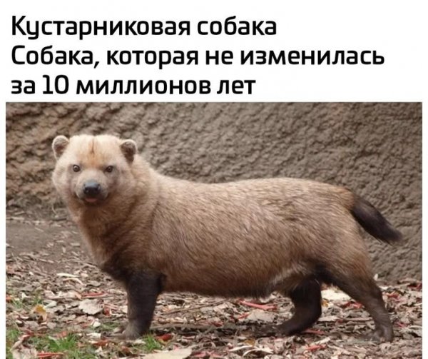 Ca60b15acf7135022f6c424867f1c1fe