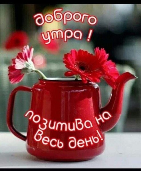 IMG-20220211-WA0008