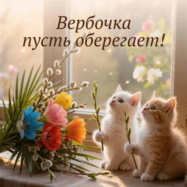 IMG 20260407 172832 532