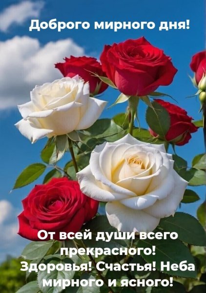 Доброго мирного дня