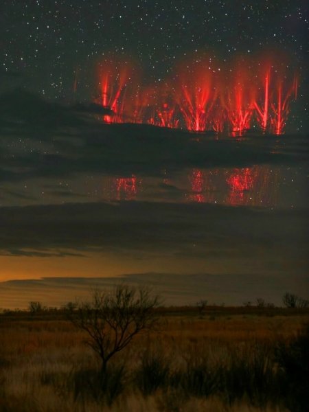 Арт Природа