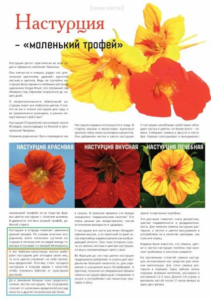 Для нашего сада