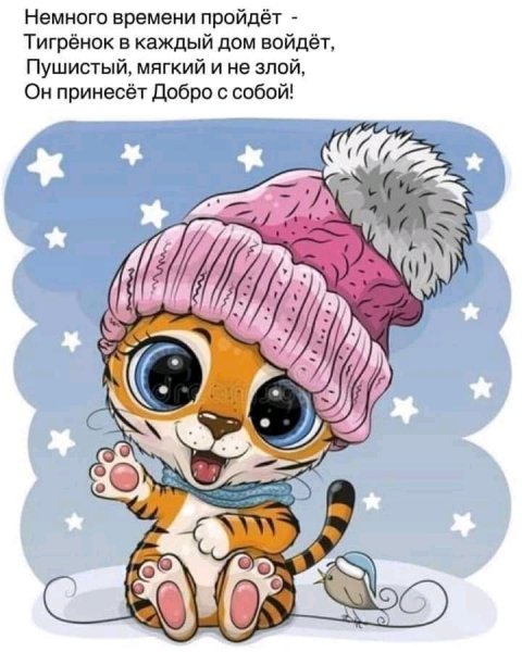 FB IMG 16408859340475908