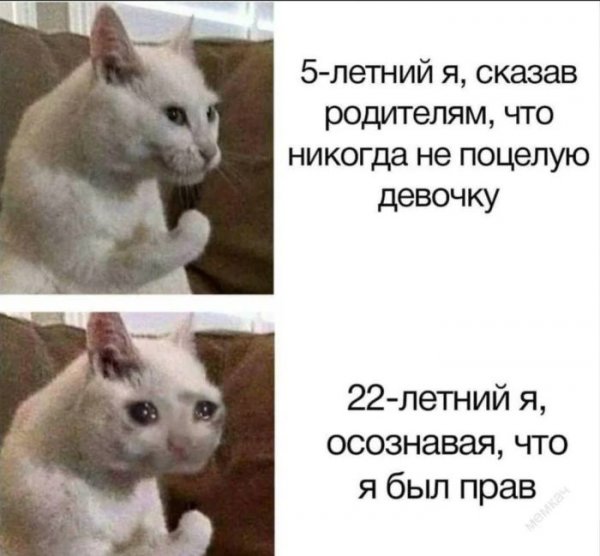 Pozitivom-luchshie-memy-i-kommentarii-iz-seti-uzhe-zdes-5