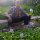 Zakon-Chernogo-stalkera-Dmitriy-Sillov 1