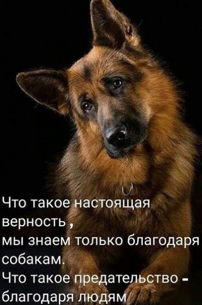 9da41dfa3575d7020136963693954e76