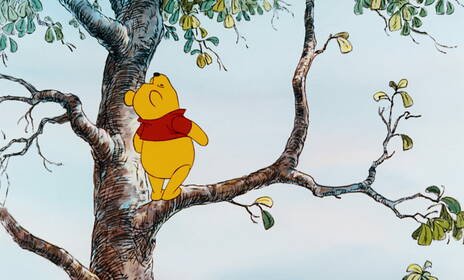 H280 52452430