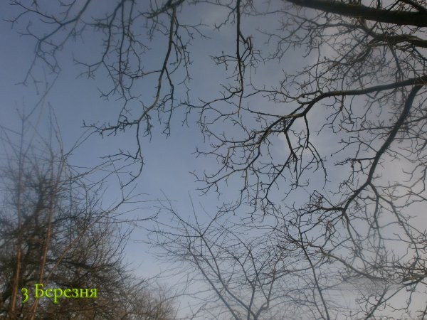 3 Березня