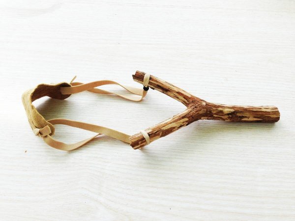 IMG 20251011 195228 359