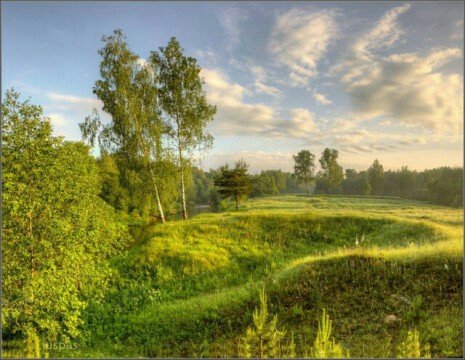 летний пейзаж