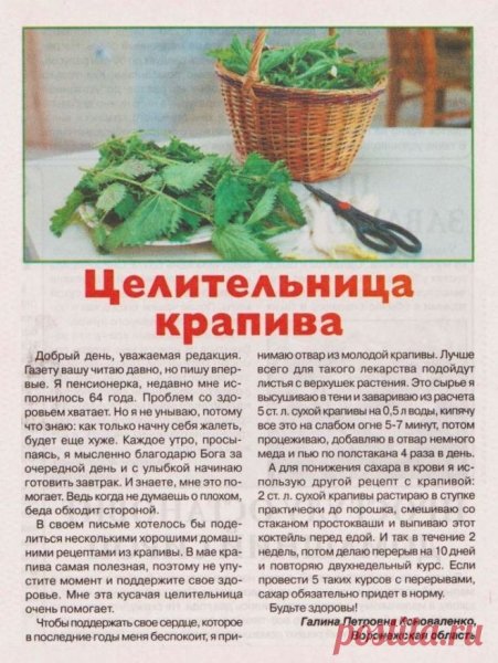 Зелёная аптека