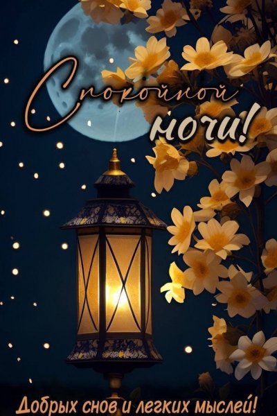 Спокойной Ночи