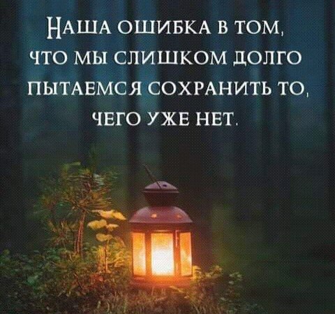 IMG 20210205 023920
